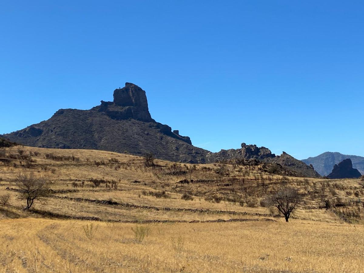 Vacacional La Tea The Best Location And The Best Views Tejeda  Bagian luar foto